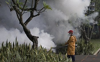 Bangladesh records worst outbreak of Dengue since 2000